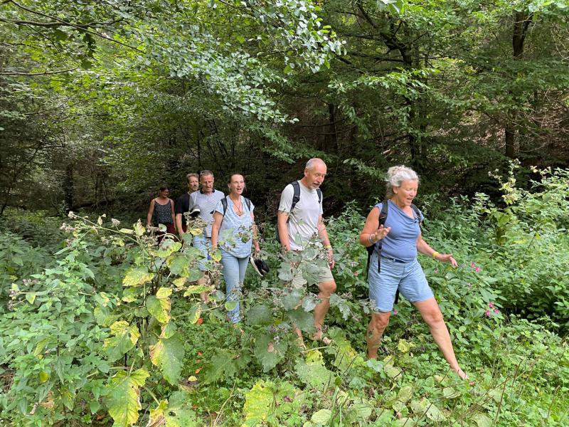 Singwanderung